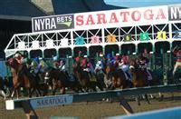 saratoga entries and results today